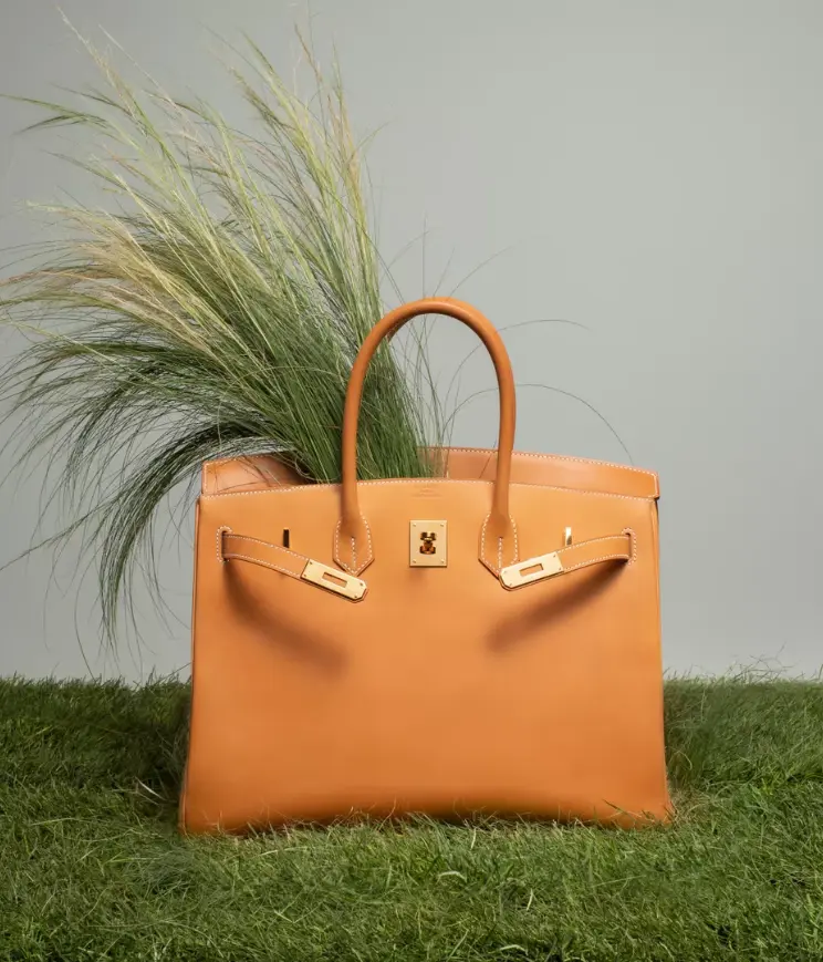 The Hermès Birkin Handbag